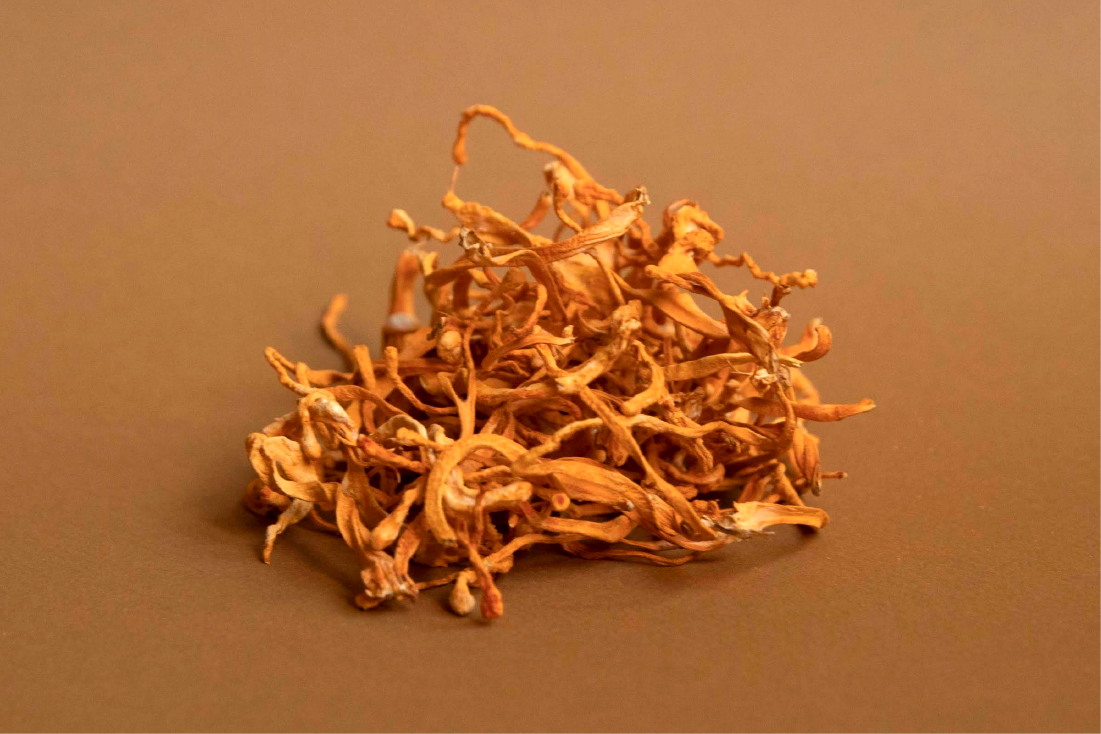 Dried Cordyceps Mushrooms