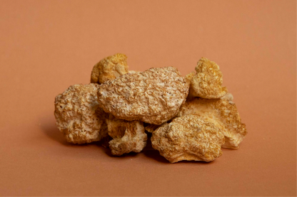 Dried Lion's Mane Mushrooms