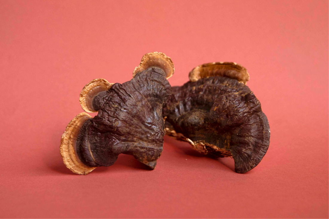 Dried Reishi Mushrooms